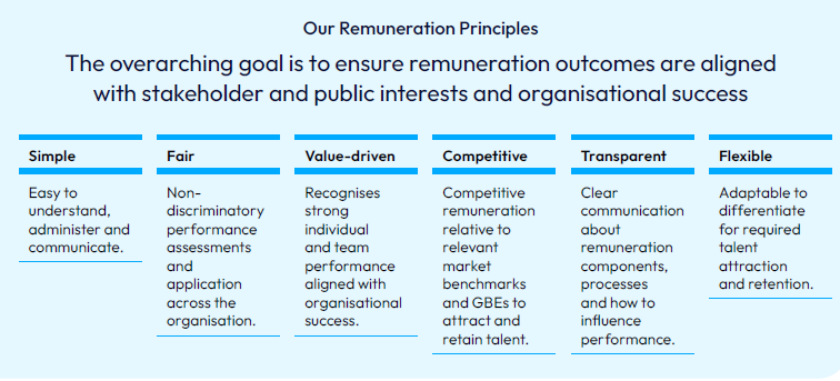 Remuneration Framework Examples Transparency Portal