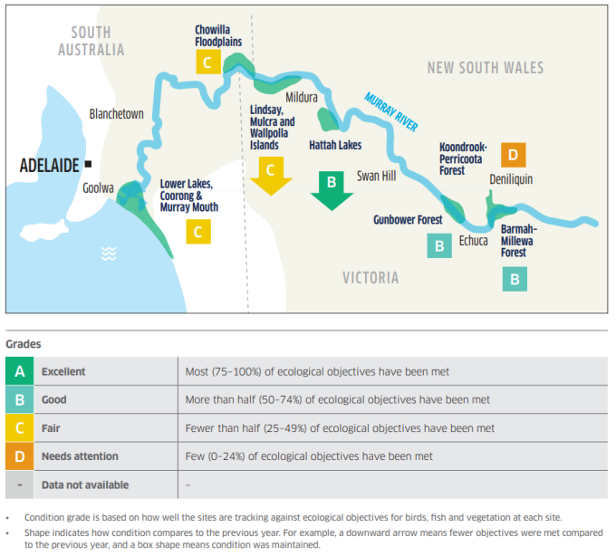 Murray Darling River Report