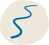 Transparency Portal