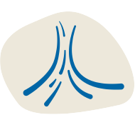 Transparency Portal