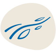 Transparency Portal